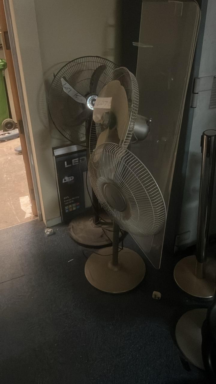 2 Standing fans